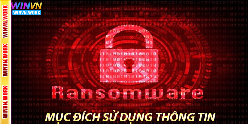 Chính Sách Bảo Mật Winvn Tại Chúng Tôi 5 Mục Đích Sử Dụng Thông Tin