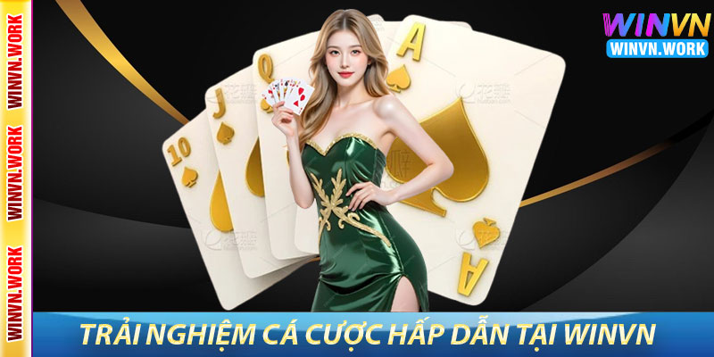 Đăng Nhập WinVN – Trải Nghiệm Cá Cược Hấp Dẫn Và An Toàn 7 Những Trải Nghiệm Cá Cược Hấp Dẫn Tại WinVN