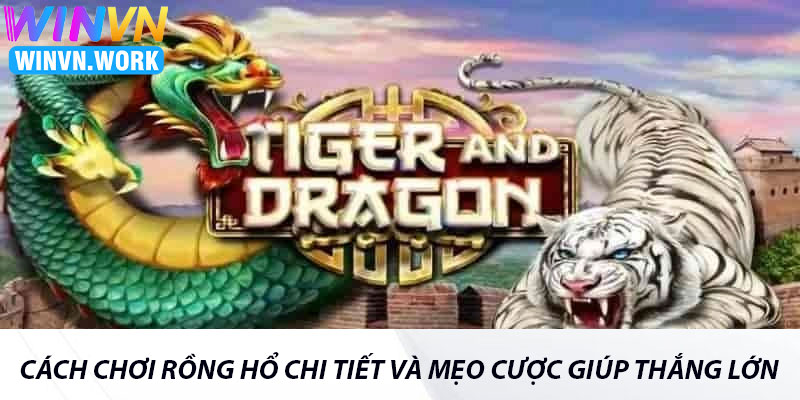 Cách Chơi Rồng Hổ Chi Tiết Và Mẹo Cược Giúp Thắng Lớn 3 Cách Chơi Rồng Hổ Chi Tiết Và Mẹo Cược Giúp Thắng Lớn