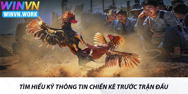Đá Gà Cựa Dao - Mẹo Hay Cùng Trải Nghiệm Đỉnh Cao 5 Tìm Hiểu Kỹ Thông Tin Chiến Kê Trước Trận Đấu