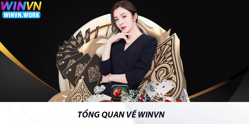 Tổng Quan Về Winvn